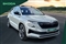Skoda Karoq Image 1