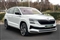 Skoda Karoq Image 1