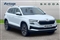 Skoda Karoq Image 1