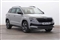 Skoda Karoq Image 1