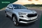 Skoda Karoq Image 1