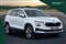 Skoda Karoq Image 1