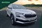 Skoda Karoq Image 1