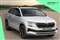 Skoda Karoq Image 1