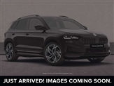 Skoda Karoq Image 1