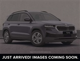 Skoda Karoq Image 1