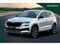 Skoda Karoq Image 10