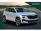 Skoda Karoq Image 1