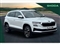 Skoda Karoq Image 1