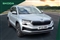Skoda Karoq Image 1