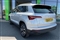 Skoda Karoq Image 3