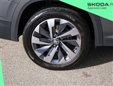 Skoda Kodiaq Image 5