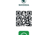 Skoda Kodiaq Image 3