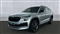 Skoda Kodiaq Image 7