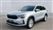 Skoda Kodiaq Image 7
