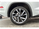 Skoda Kodiaq Image 5