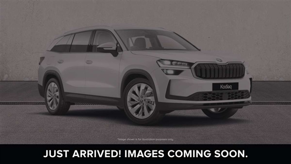 Large image for the Used Skoda Kodiaq