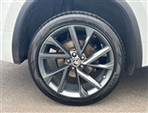 Skoda Kodiaq Image 5