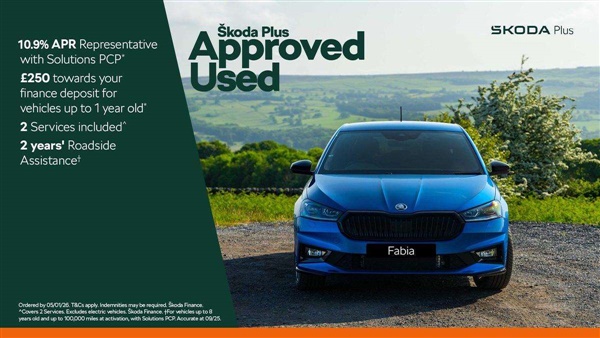 Large image for the Used Skoda Kodiaq