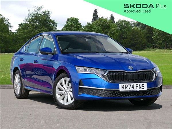 Large image for the Used Skoda Octavia