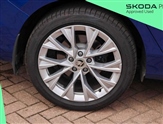 Skoda Superb Image 5