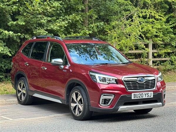 Large image for the Used Subaru Forester