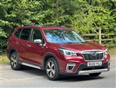 Used Subaru Forester