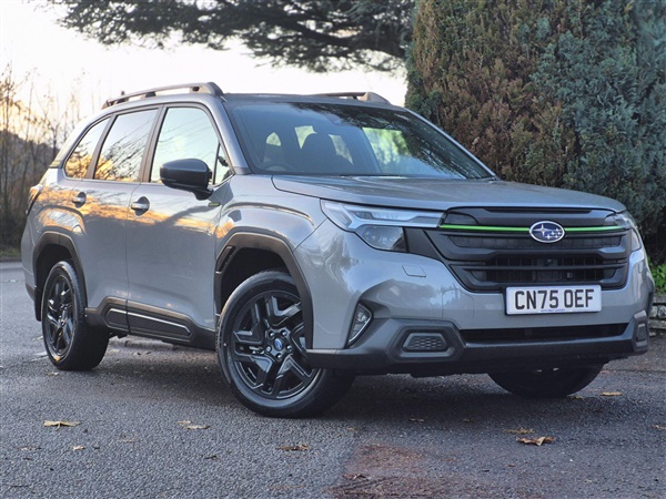 Large image for the Used Subaru Forester