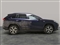 Suzuki Across Image 7
