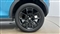 Suzuki Ignis Image 5