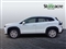 Suzuki Sx4 S-Cross Image 8