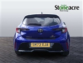 Toyota Corolla Image 6