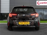 Toyota Corolla Image 6