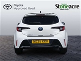 Toyota Corolla Image 6