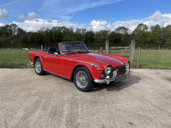 Large image for the Used Triumph TR5