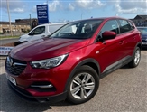 Vauxhall Grandland X Image 1