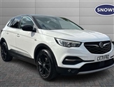 Vauxhall Grandland X Image 1