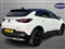 Vauxhall Grandland X Image 4