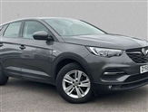 Vauxhall Grandland X Image 1