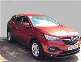 Vauxhall Grandland X Image 1
