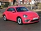 Volkswagen Beetle Image 10