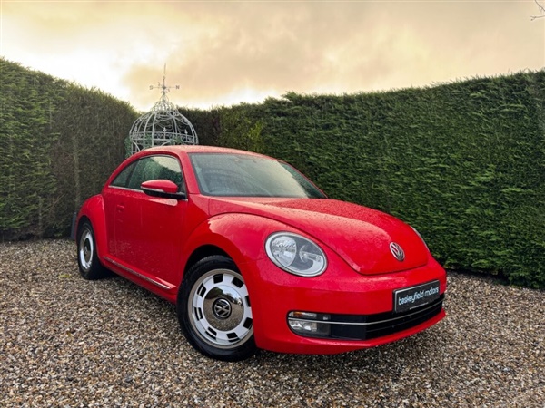 Large image for the Used Volkswagen BEETLE
