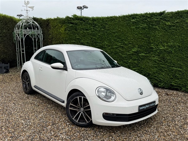 Large image for the Used Volkswagen BEETLE