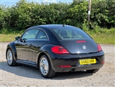 Volkswagen Beetle Image 6