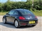 Volkswagen Beetle Image 6