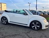 Volkswagen Beetle Image 5