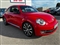 Volkswagen Beetle Image 1