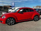 Volkswagen Beetle Image 4