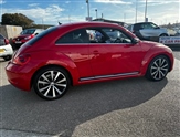 Volkswagen Beetle Image 5