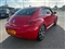 Volkswagen Beetle Image 7